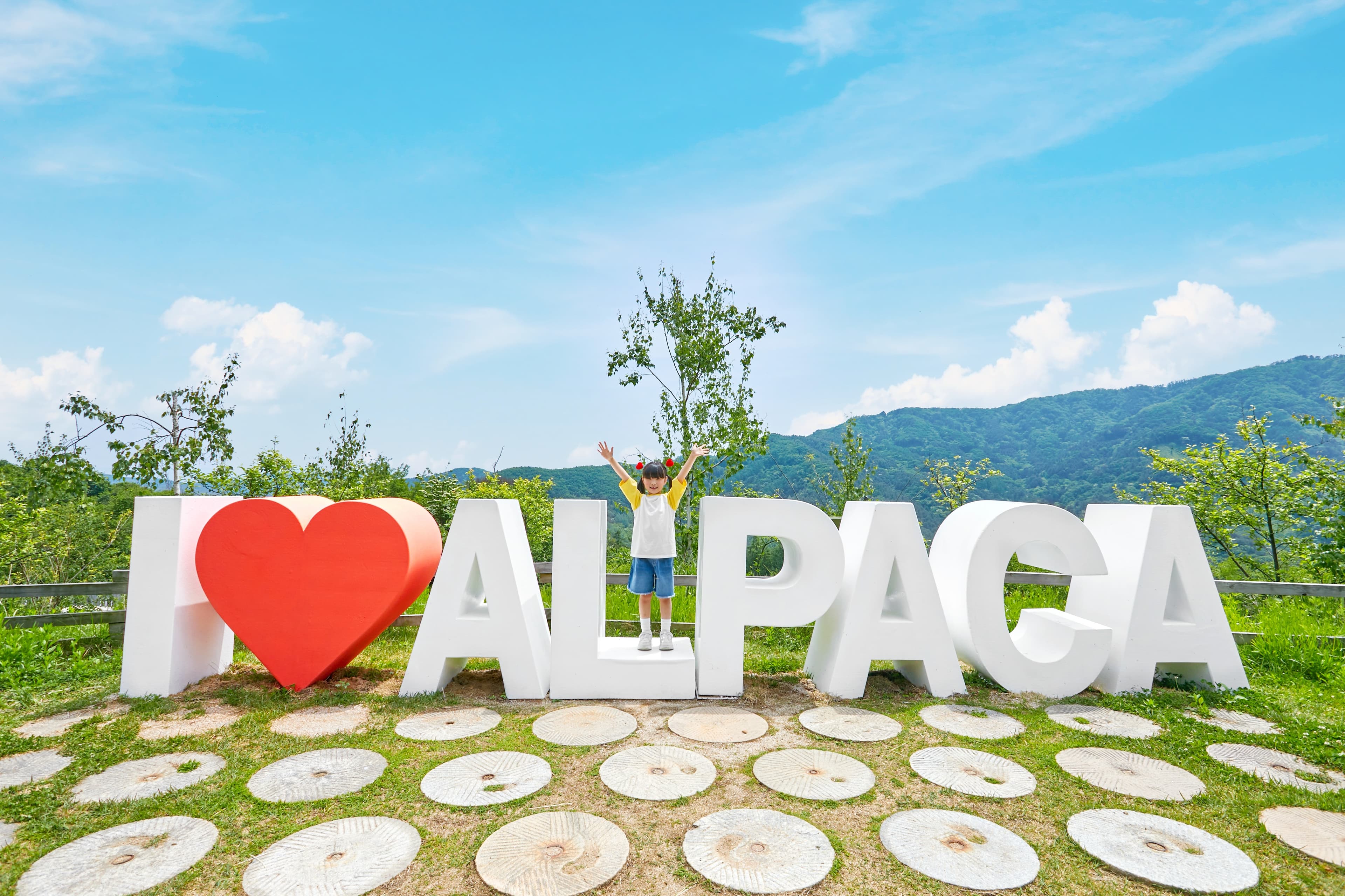 Alpaca World & Gyeonggi Family Day Trips