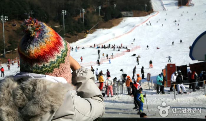 Yangji Pine Resort